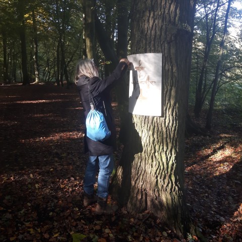 Freilassung fünf Bilder im Fürstbischhöflichen Wald, Tiergarten, Münster Wolbeck. 24.10.2021